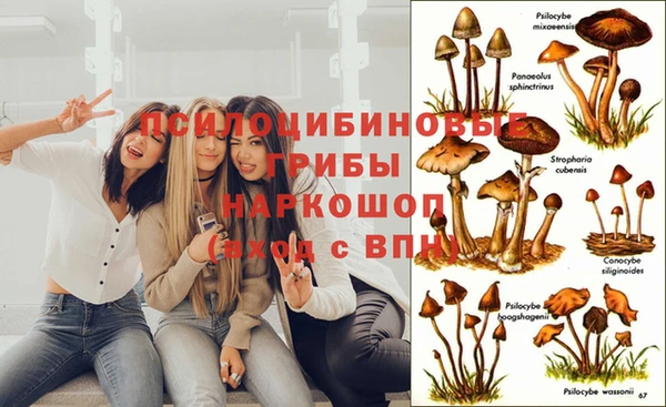 COCAINE Дмитриев